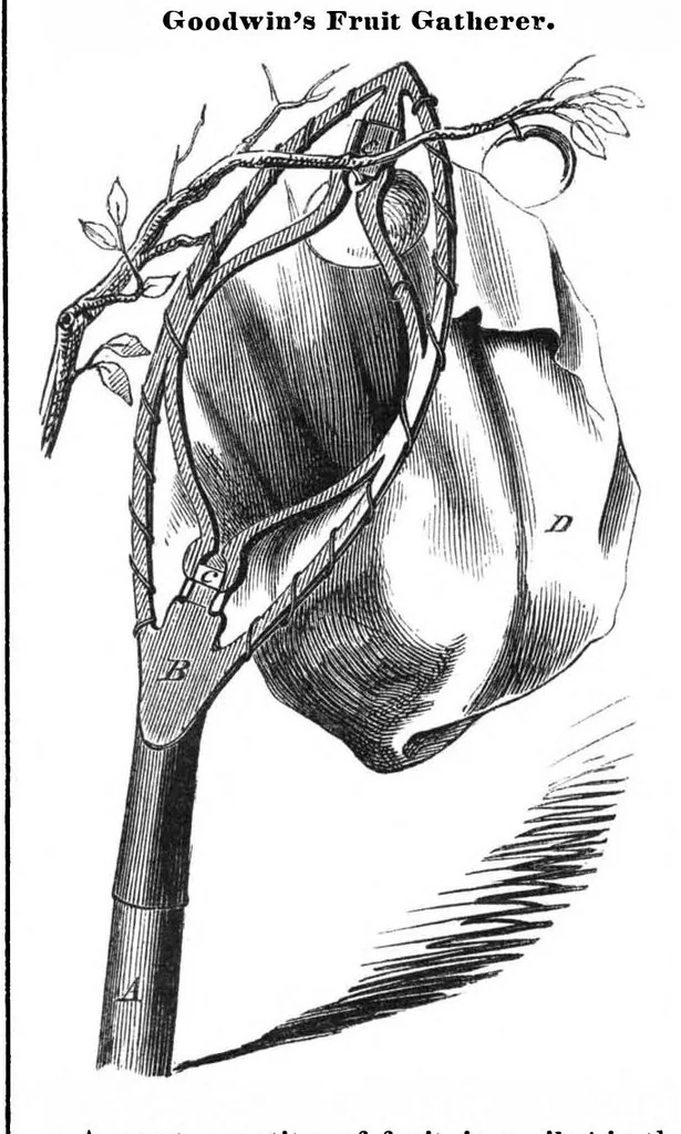 An illustration from Scientific American, Vol. 13, No. 46 (July 1858), 1858, leaf 7