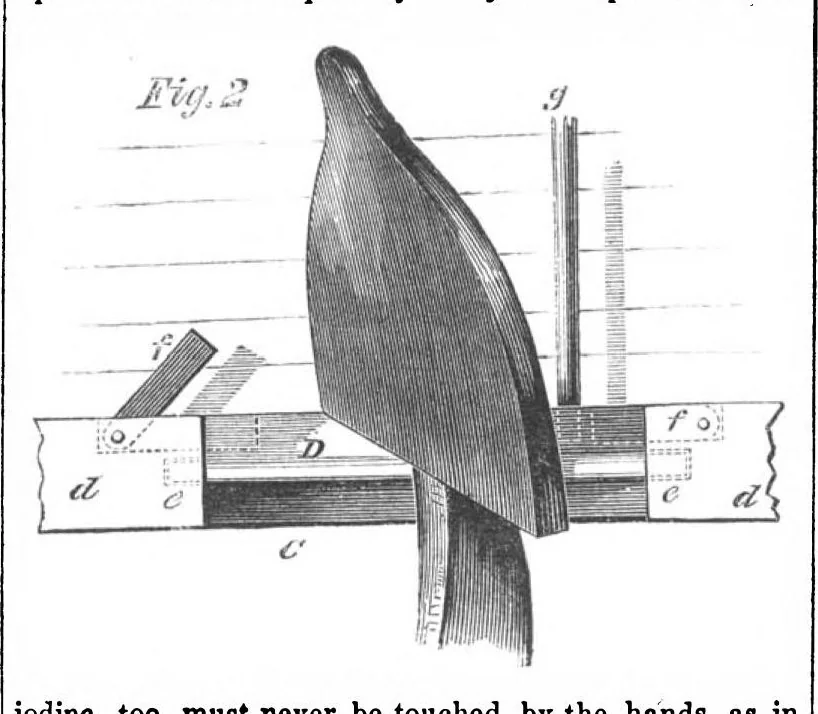 An illustration from Scientific American, Vol. 2, No. 14 (March 1860), 1860, leaf 0