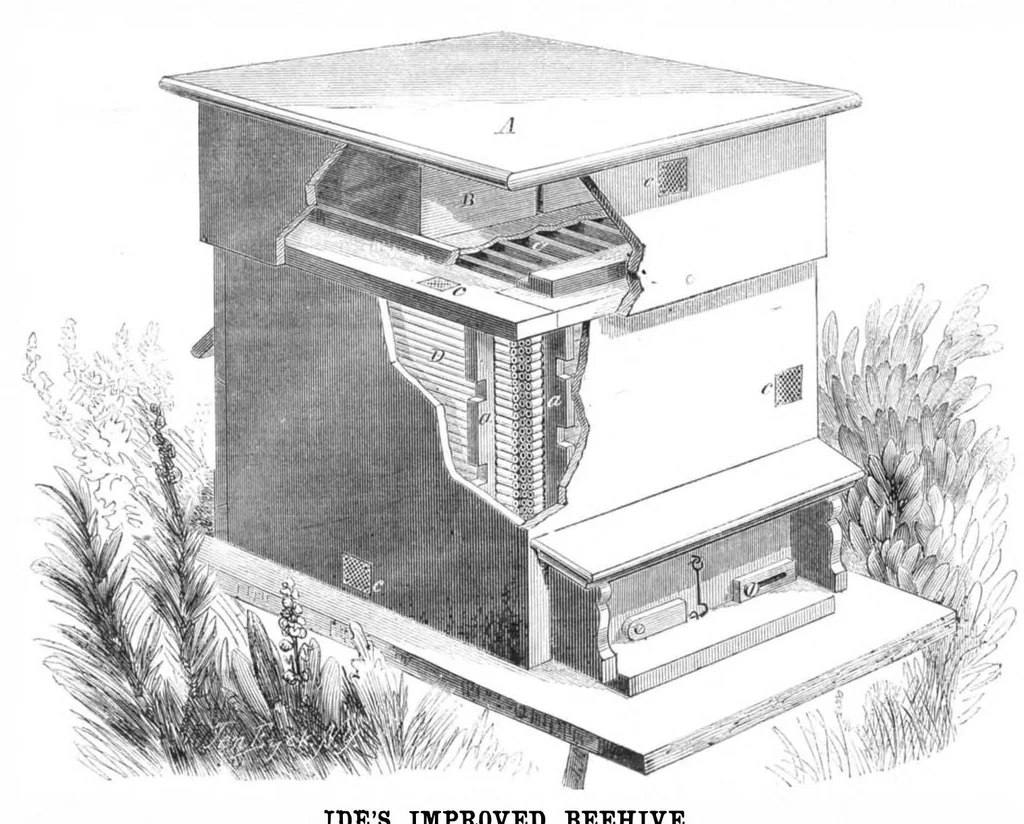 An illustration from Scientific American, Vol. 4b, No. 24 (June 1861), 1861, leaf 15