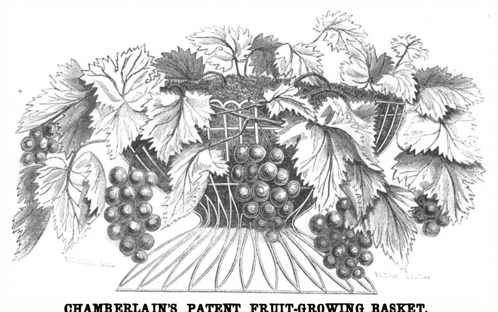 An illustration from Scientific American, Vol. 5, No. 22 (November 1861), 1861, leaf 6