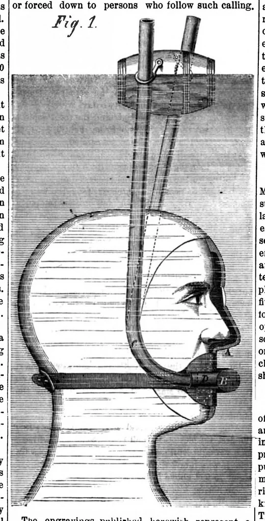An illustration from Scientific American, Vol. 12, No. 25 (June 1865), 1865, leaf 3