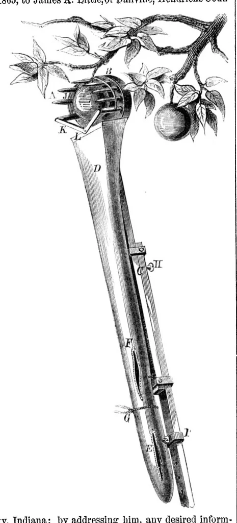 An illustration from Scientific American, Vol. 13, No. 7 (August 1865), 1865, leaf 7