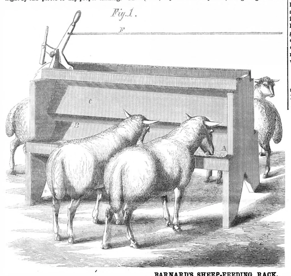 An illustration from Scientific American, Vol. 13, No. 24 (December 1865), 1865, leaf 15