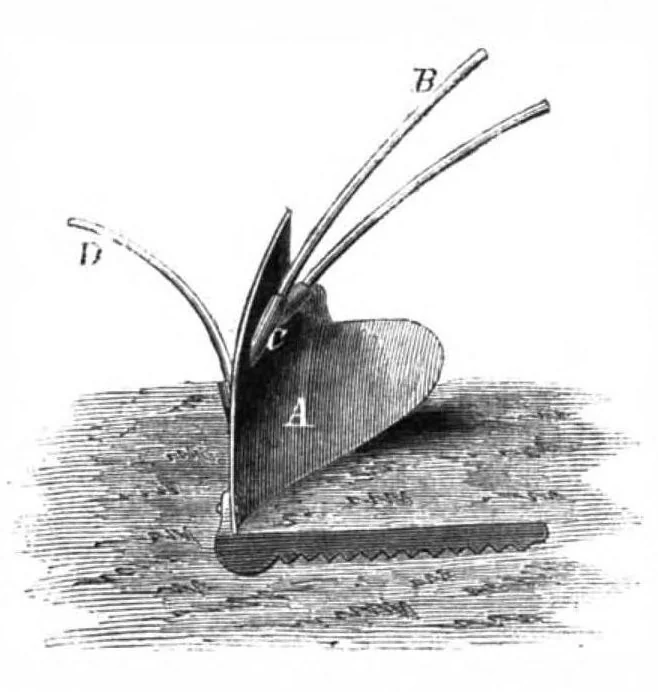 An illustration from Scientific American, Vol. 14, No. 2 (January 1866), 1866, leaf 3