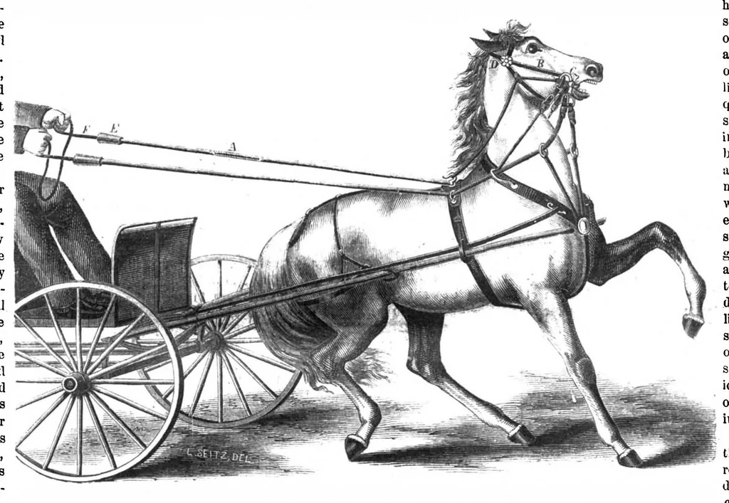 An illustration from Scientific American, Vol. 14, No. 5 (January 1866), 1866, leaf 0