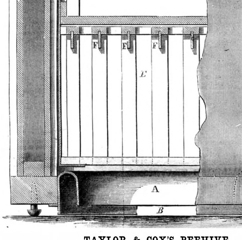 An illustration from Scientific American, Vol. 15, No. 3 (July 1866), 1866, leaf 15