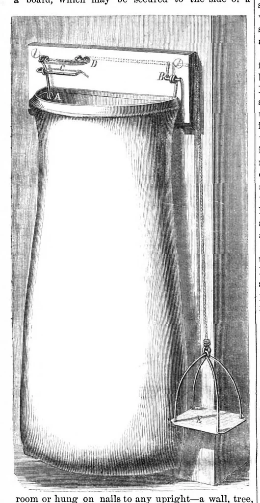 An illustration from Scientific American, Vol. 15, No. 20 (November 1866), 1866, leaf 7