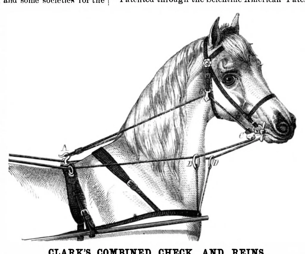 An illustration from Scientific American, Vol. 15, No. 25 (December 1866), 1866, leaf 17