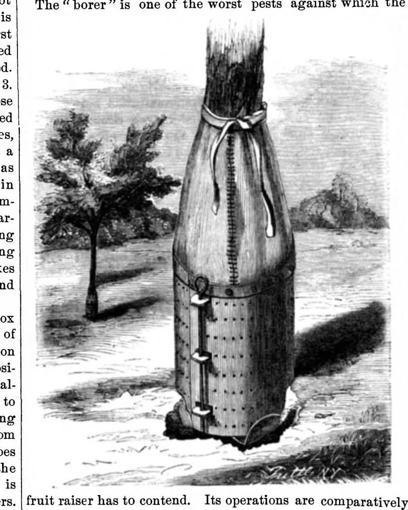 An illustration from Scientific American, Vol. 16, No. 23 (June 1867), 1867, leaf 0