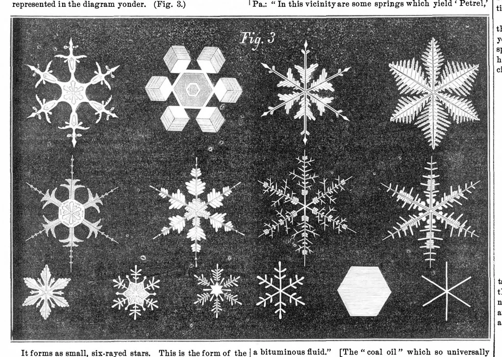 An illustration from Scientific American, Vol. 18, No. 8 (February 1868), 1868, leaf 4