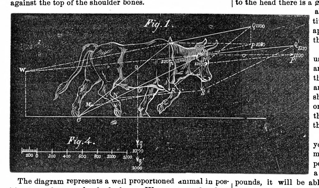 An illustration from Scientific American, Vol. 19, No. 3 (July 1868), 1868, leaf 4