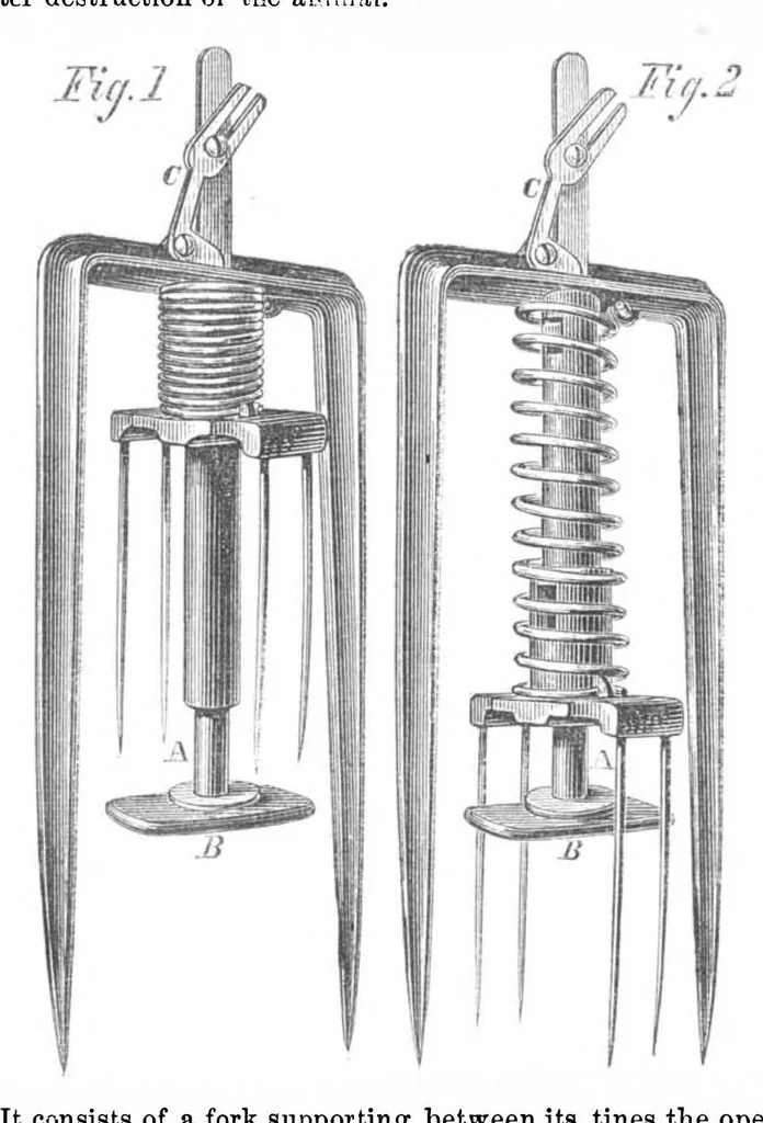 An illustration from Scientific American, Vol. 19, No. 6 (August 1868), 1868, leaf 3