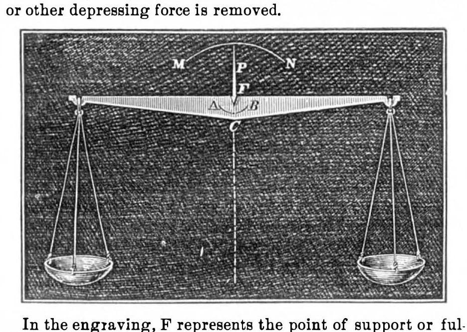 An illustration from Scientific American, Vol. 19, No. 7 (August 1868), 1868, leaf 3