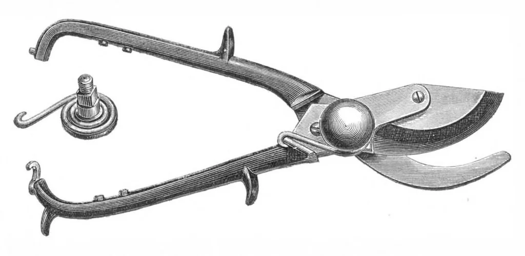 An illustration from Scientific American, Vol. 19, No. 8 (August 1868), 1868, leaf 3