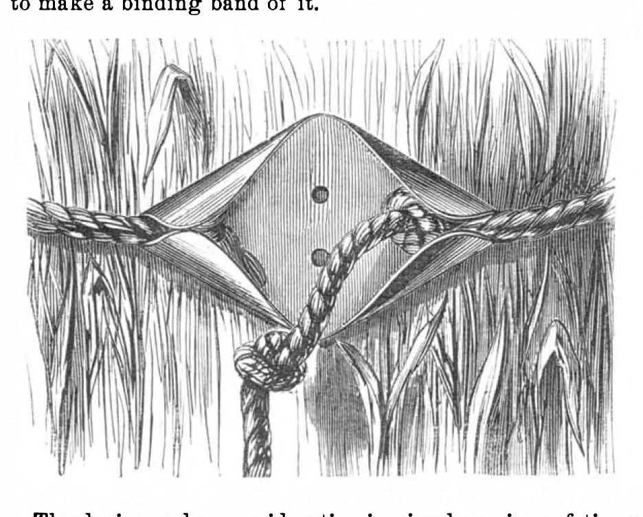 An illustration from Scientific American, Vol. 19, No. 10 (September 1868), 1868, leaf 3