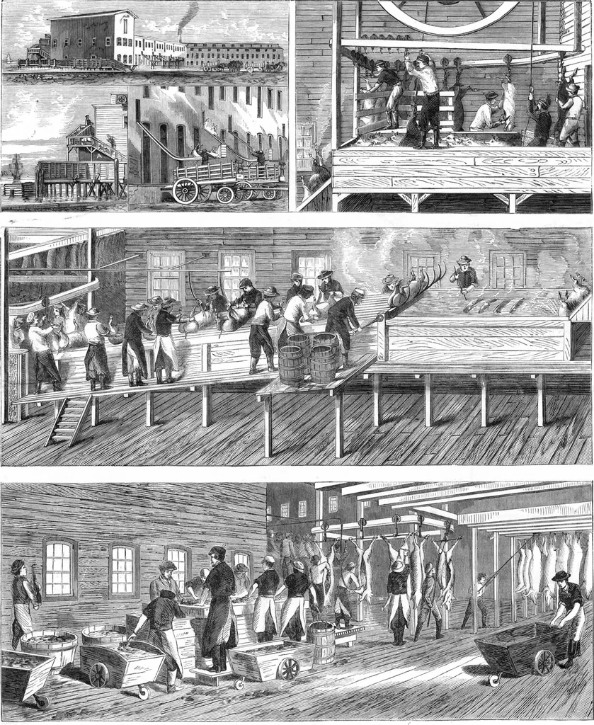 An illustration from Scientific American, Vol. 19, No. 24 (December 1868), 1868, leaf 7