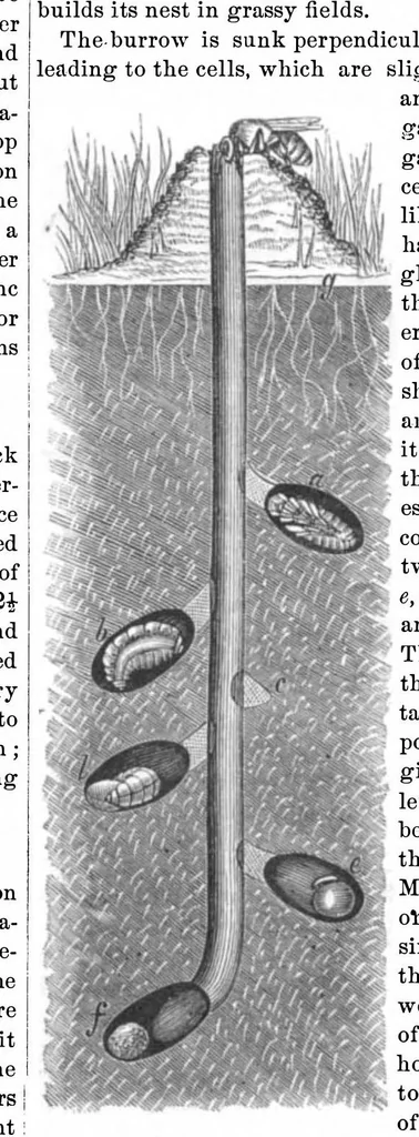 An illustration from Scientific American, Vol. 20, No. 12 (March 1869), 1869, leaf 3