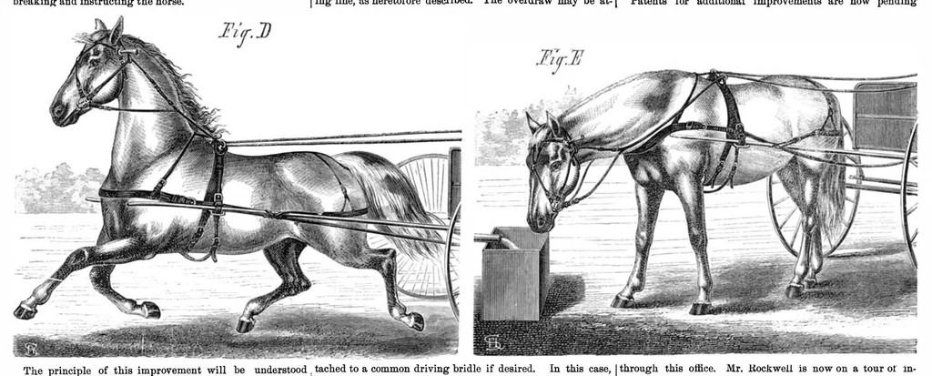 An illustration from Scientific American, Vol. 21, No. 1 (July 1869), 1869, leaf 4