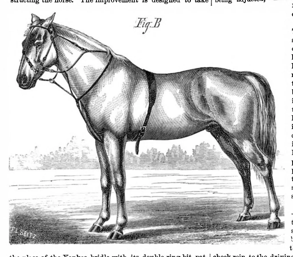 An illustration from Scientific American, Vol. 21, No. 1 (July 1869), 1869, leaf 4