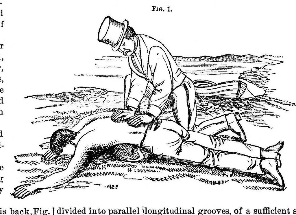 An illustration from Scientific American, Vol. 21, No. 9 (August 1869), 1869, leaf 4