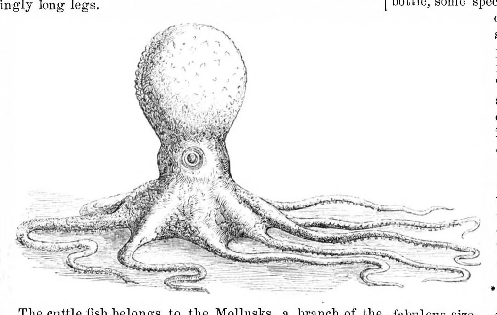 An illustration from Scientific American, Vol. 21, No. 14 (October 1869), 1869, leaf 4