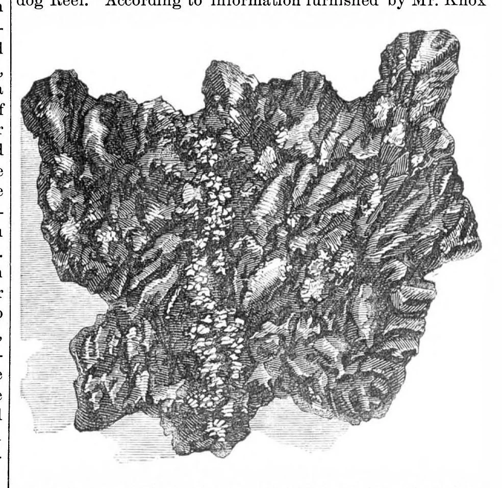 An illustration from Scientific American, Vol. 21, No. 17 (October 1869), 1869, leaf 3