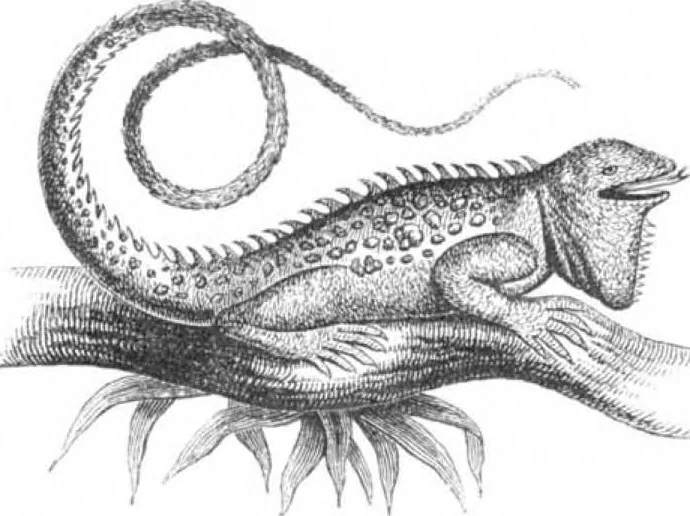 An illustration from Scientific American, Vol. 21, No. 23 (December 1869), 1869, leaf 4