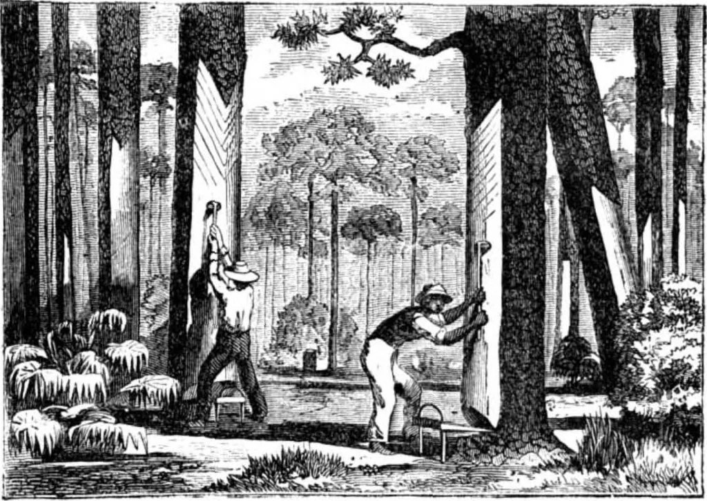An illustration from Scientific American, Vol. 22, No. 12 (March 1870), 1870, leaf 3