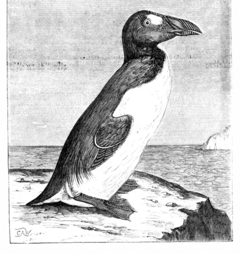 An illustration from Scientific American, Vol. 22, No. 14 (April 1870), 1870, leaf 4