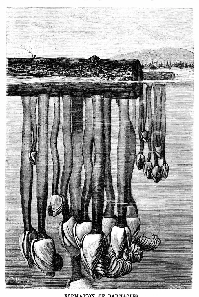 An illustration from Scientific American, Vol. 22, No. 16 (April 1870), 1870, leaf 3