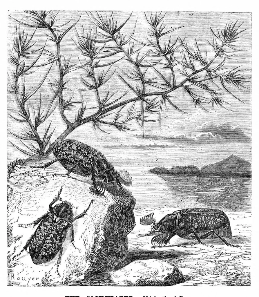 An illustration from Scientific American, Vol. 22, No. 24 (June 1870), 1870, leaf 3