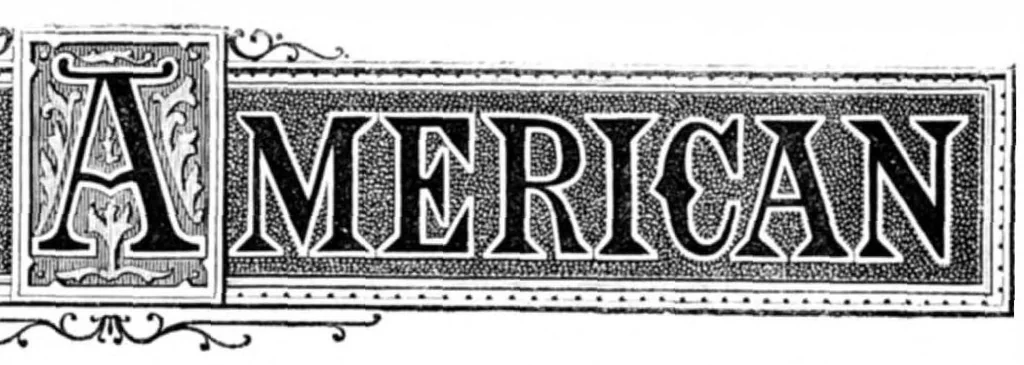 An illustration from Scientific American, Vol. 22, No. 25 (June 1870), 1870, leaf 0