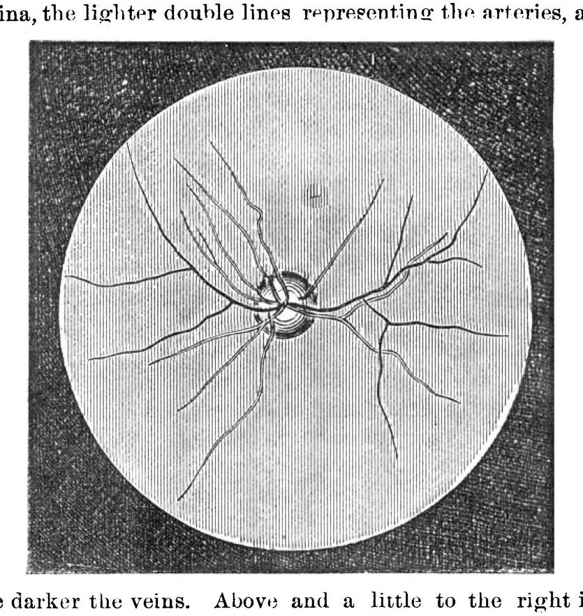 An illustration from Scientific American, Vol. 23, No. 3 (July 1870), 1870, leaf 3