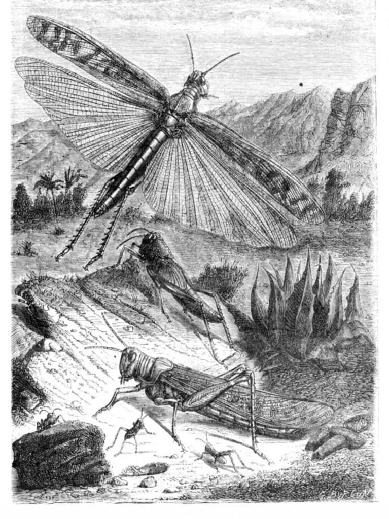 An illustration from Scientific American, Vol. 23, No. 9 (August 1870), 1870, leaf 4