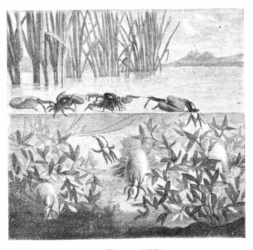 An illustration from Scientific American, Vol. 23, No. 13 (September 1870), 1870, leaf 4