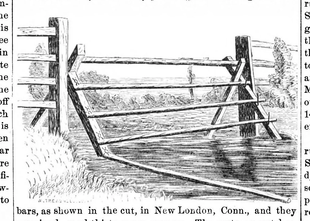 An illustration from Scientific American, Vol. 23, No. 18 (October 1870), 1870, leaf 0
