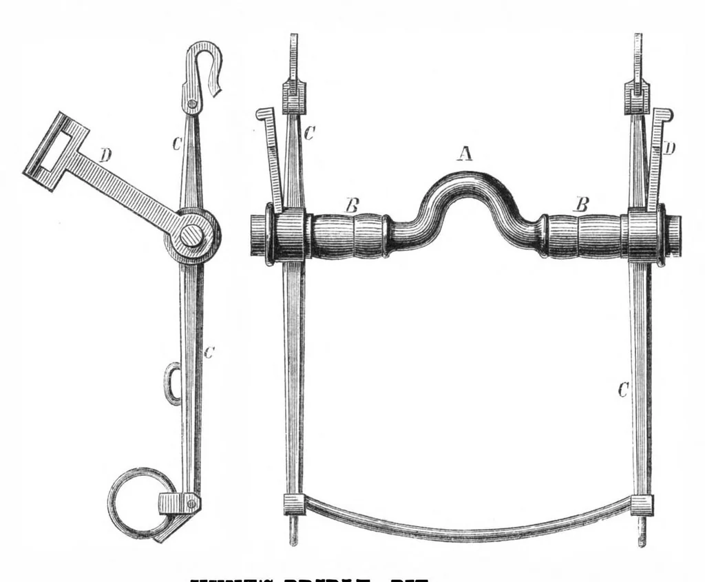 An illustration from Scientific American, Vol. 23, No. 25 (December 1870), 1870, leaf 4