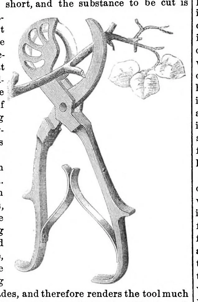 An illustration from Scientific American, Vol. 24, No. 7 (February 1871), 1871, leaf 4