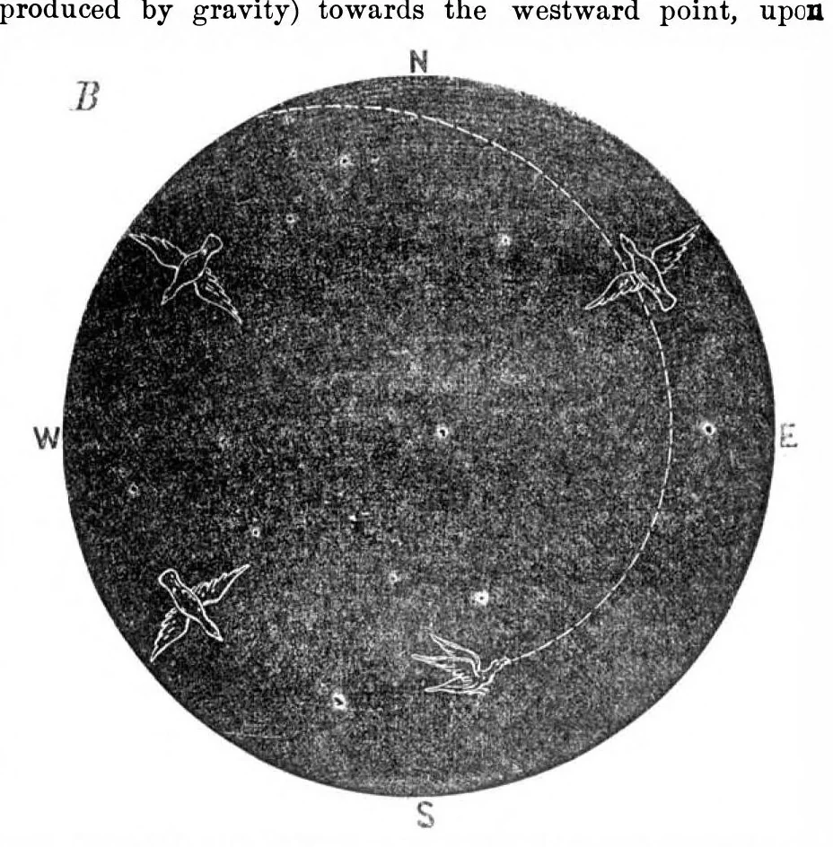 An illustration from Scientific American, Vol. 24, No. 13 (March 1871), 1871, leaf 3