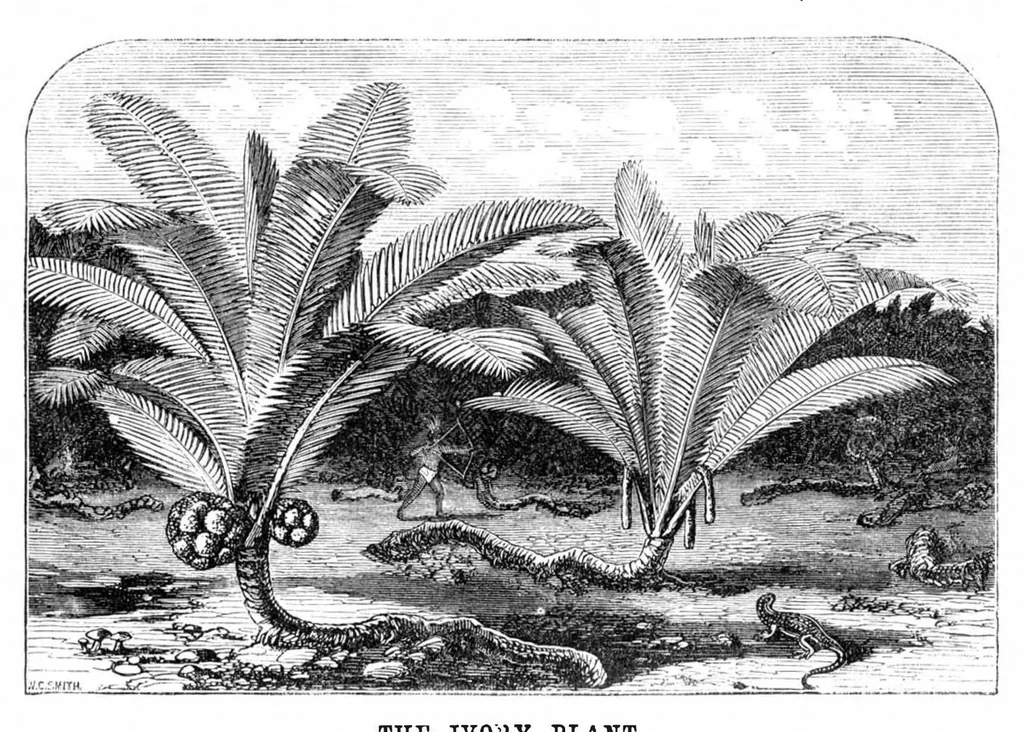 An illustration from Scientific American, Vol. 24, No. 16 (April 1871), 1871, leaf 3