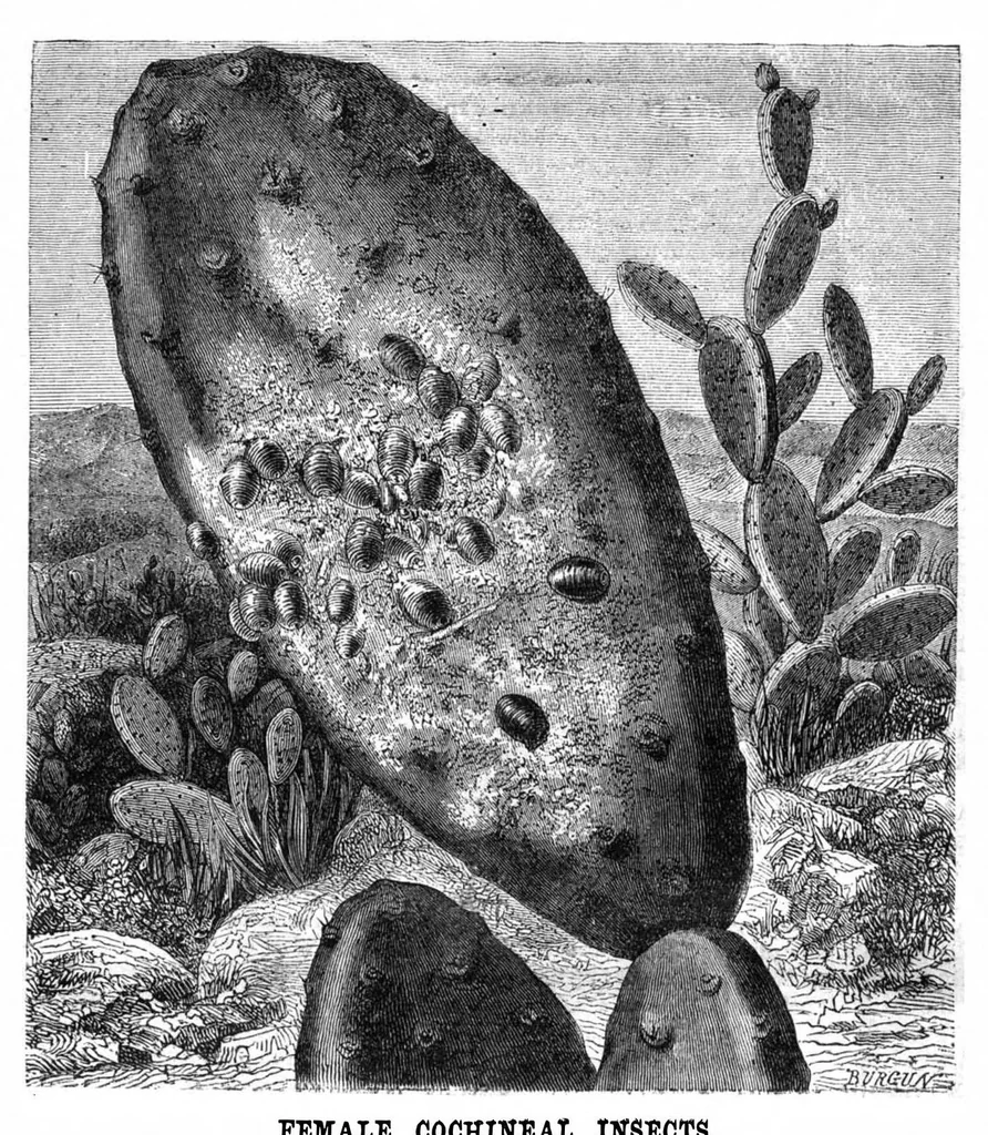 An illustration from Scientific American, Vol. 24, No. 18 (April 1871), 1871, leaf 3