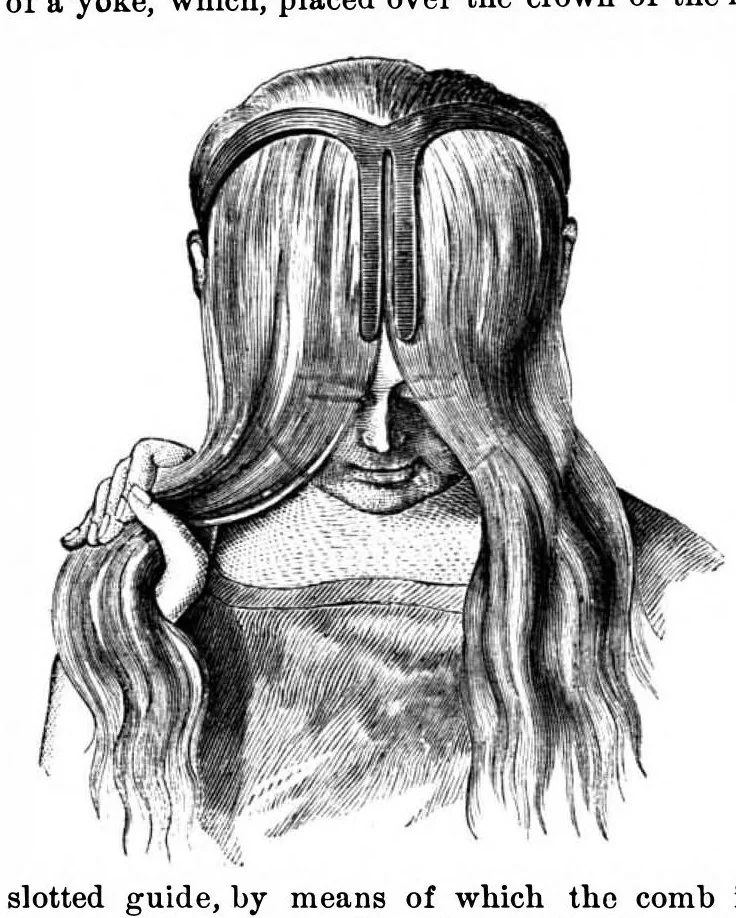 An illustration from Scientific American, Vol. 25, No. 1 (July 1871), 1871, leaf 2