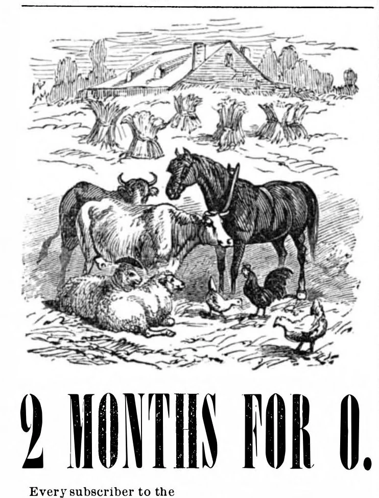 An illustration from Scientific American, Vol. 25, No. 19 (November 1871), 1871, leaf 14