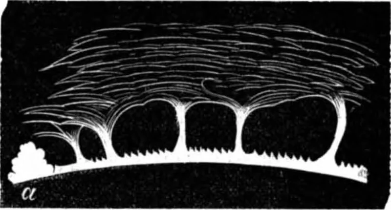 An illustration from Scientific American, Vol. 25, No. 21 (November 1871), 1871, leaf 4