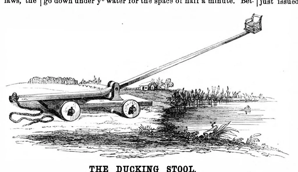 An illustration from Scientific American, Vol. 27, No. 1 (July 1872), 1872, leaf 2