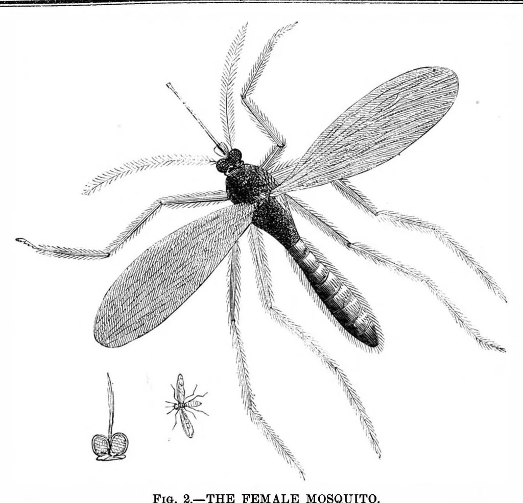 An illustration from Scientific American, Vol. 27, No. 2 (July 1872), 1872, leaf 3