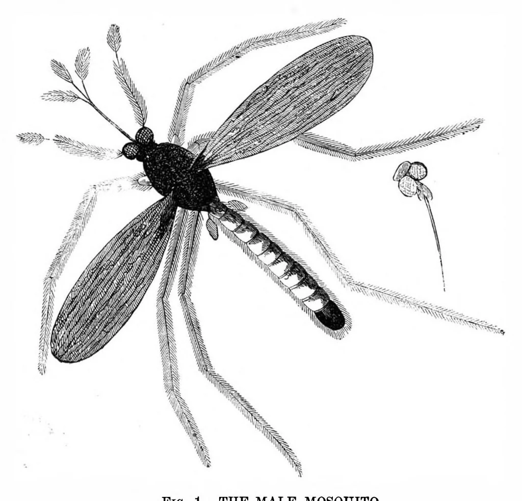 An illustration from Scientific American, Vol. 27, No. 2 (July 1872), 1872, leaf 3