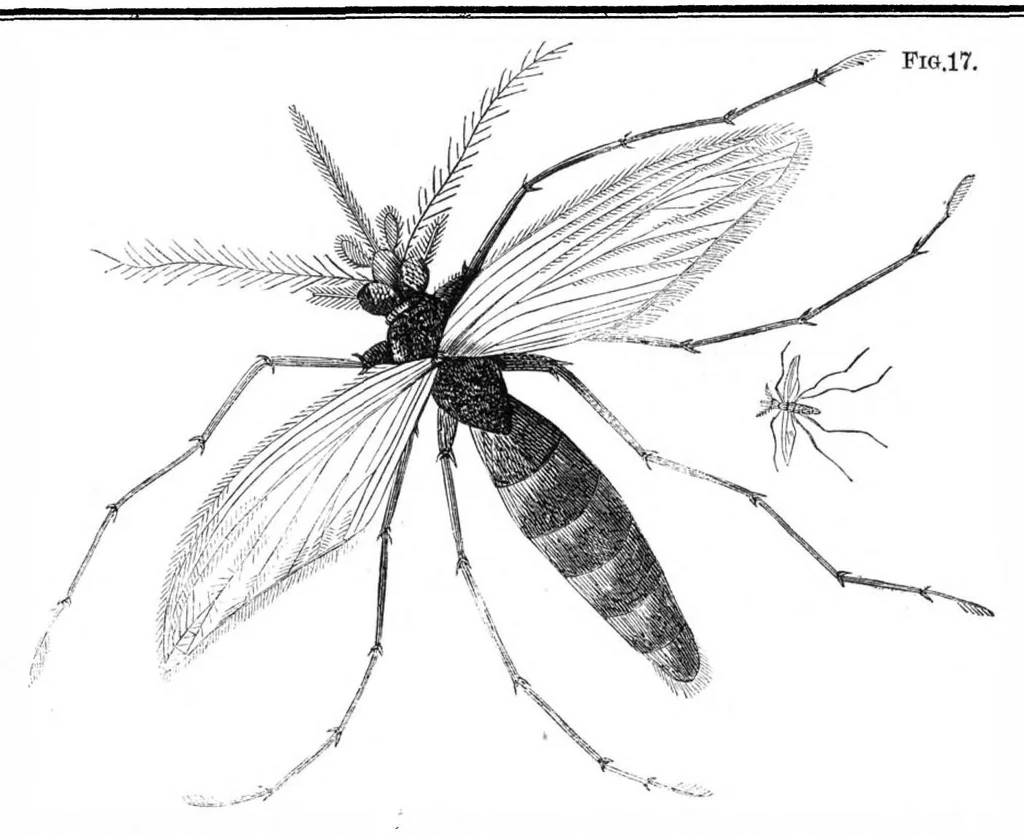An illustration from Scientific American, Vol. 27, No. 2 (July 1872), 1872, leaf 4