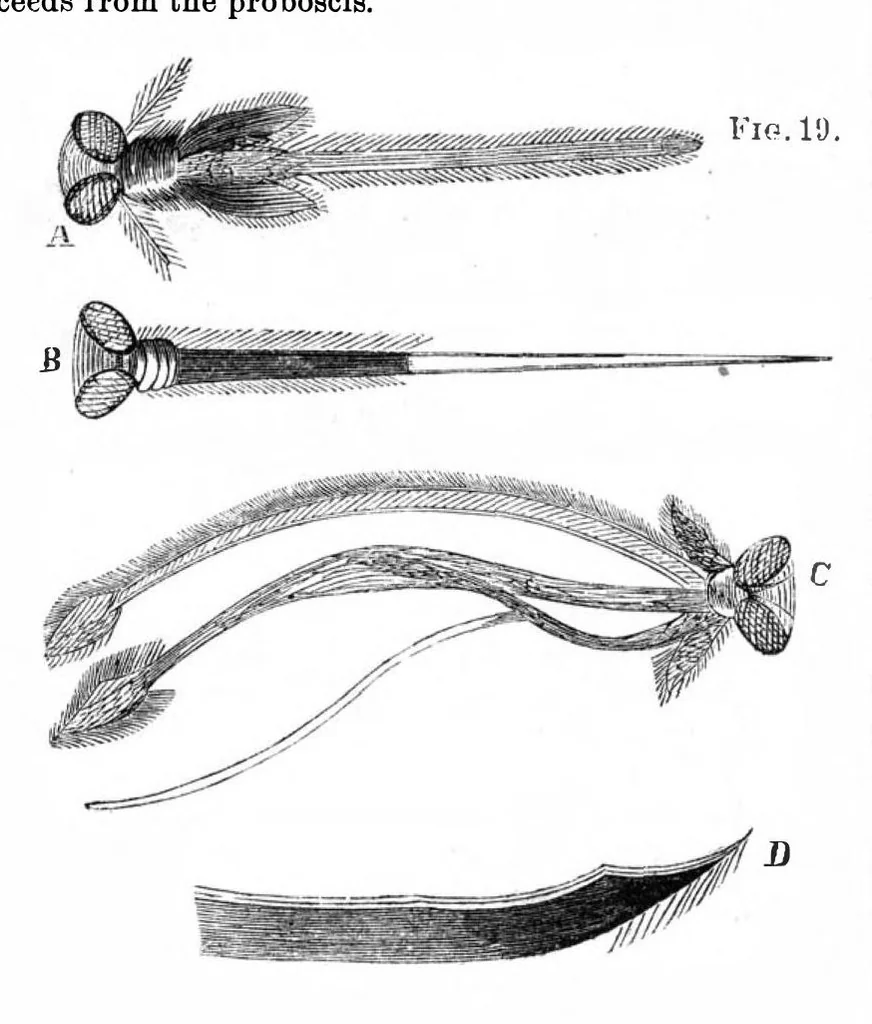 An illustration from Scientific American, Vol. 27, No. 2 (July 1872), 1872, leaf 4