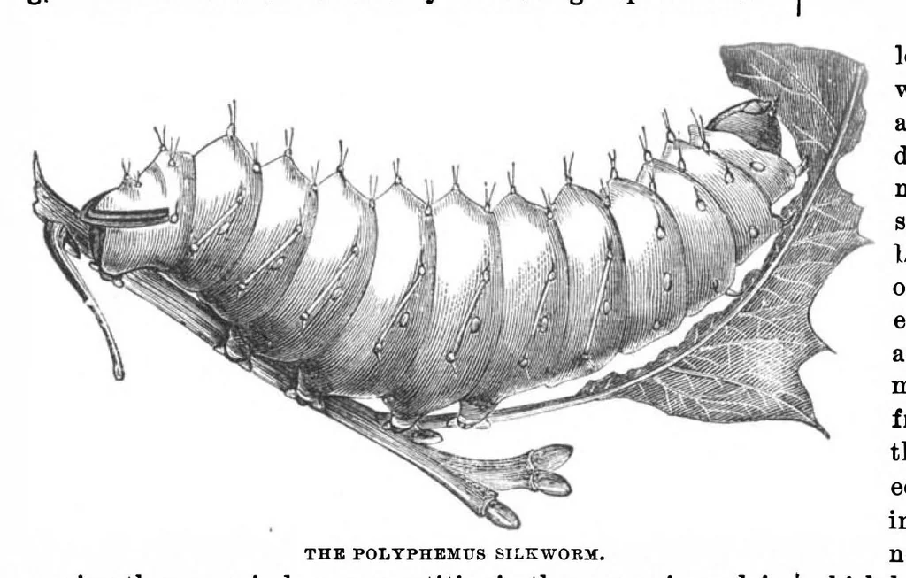 An illustration from Scientific American, Vol. 27, No. 7 (August 1872), 1872, leaf 3